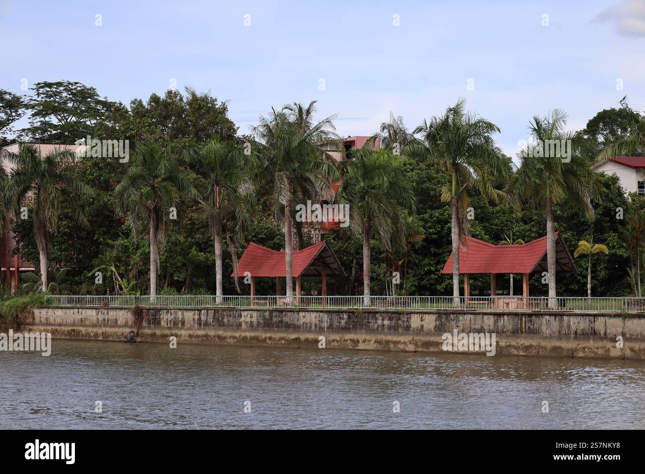 river Uferpark mit hohen Palmen und Sonne- oder Regenschutz hoch über dem Wasserspiegel Stockfoto