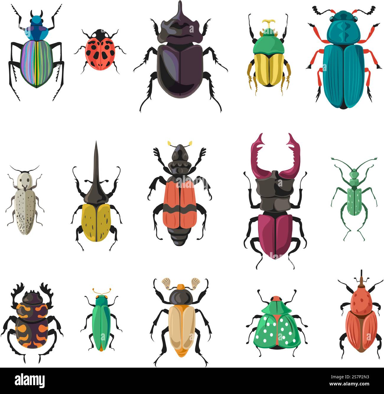 Verschiedene Arten und Arten von Käfern und Käfern, isolierte sieben spitze Marienkäfer oder Marienkäfer, Hirsch und Motte mit Flügeln, Beinen und Antennen. Natur und Biodiversität Insektenarten. Vektor in abgewickelter Form. Käfer und Käfer der Natur, Vektor der Artenvielfalt Stock Vektor