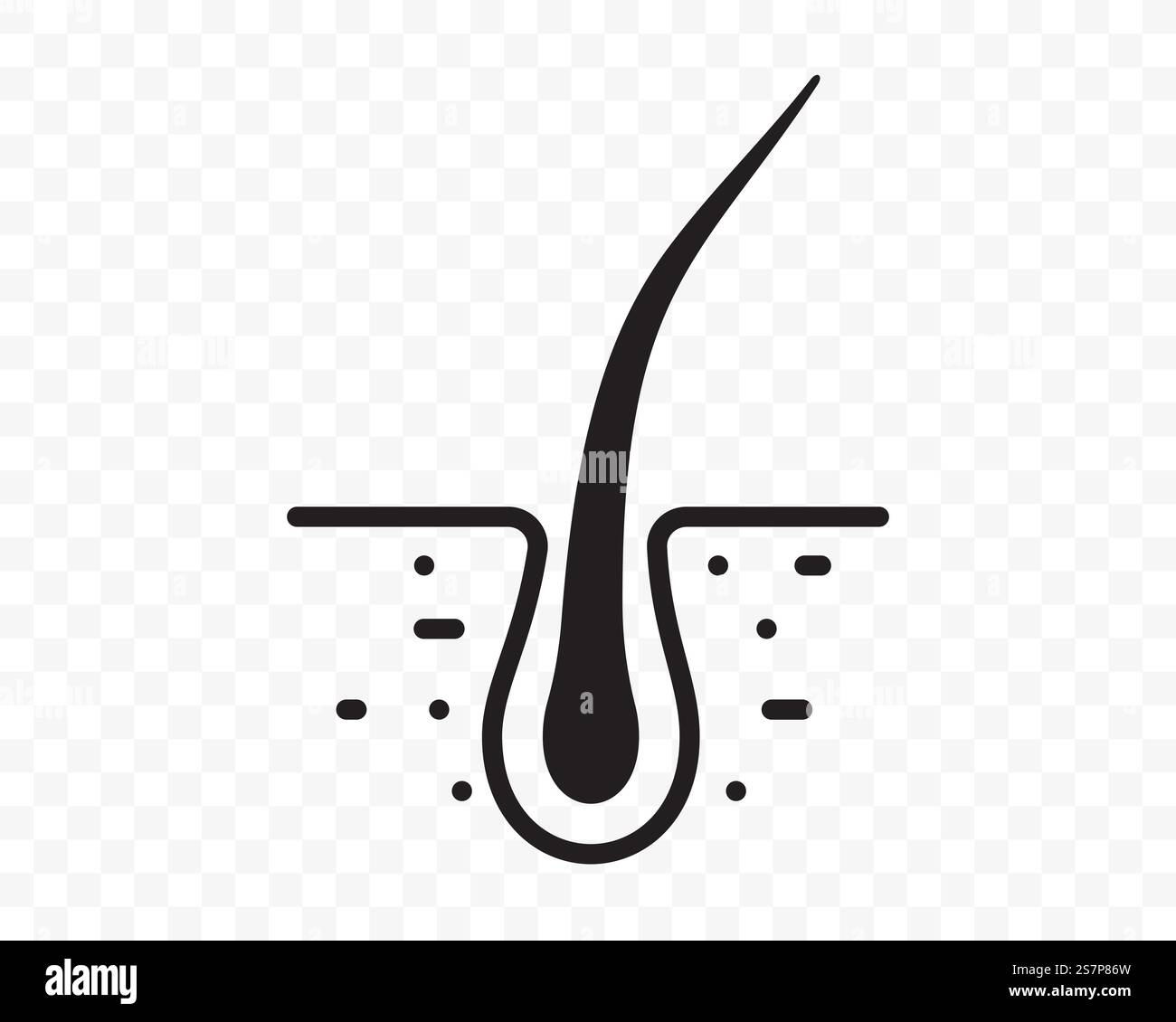 Flaches Symbol für Haarfollikel-Vektorlinie. Haarkugel in Follikelpore, Shampoo-Behandlung, Dermatologie und Haartransplantationsdesign-Element Stock Vektor