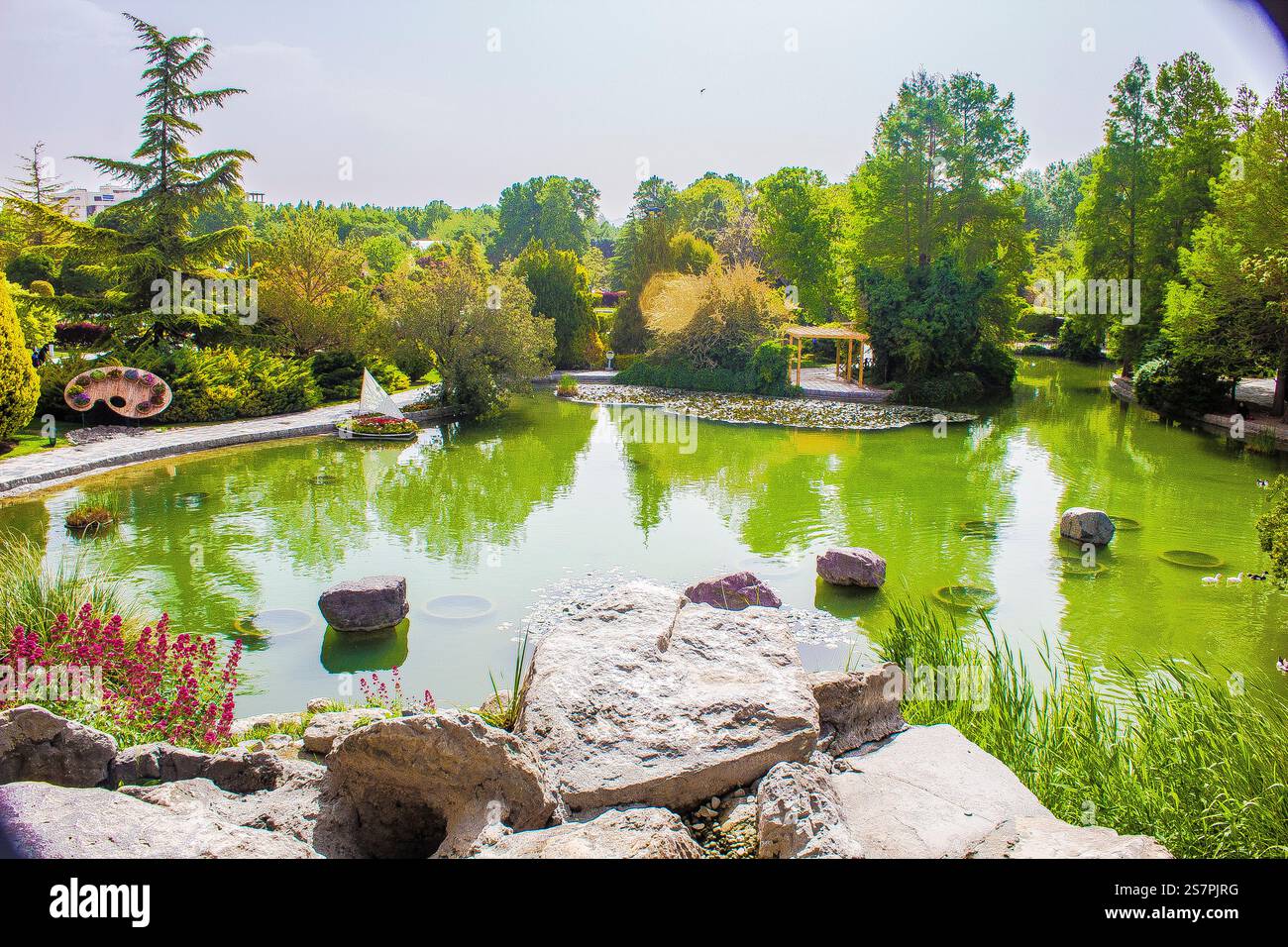Das ist ein Blumengarten. Das ist der beste Ort, um jede Blume aus der ganzen Welt zu sehen. Die ganze Schönheit der Welt ist hier im Frühling. Stockfoto