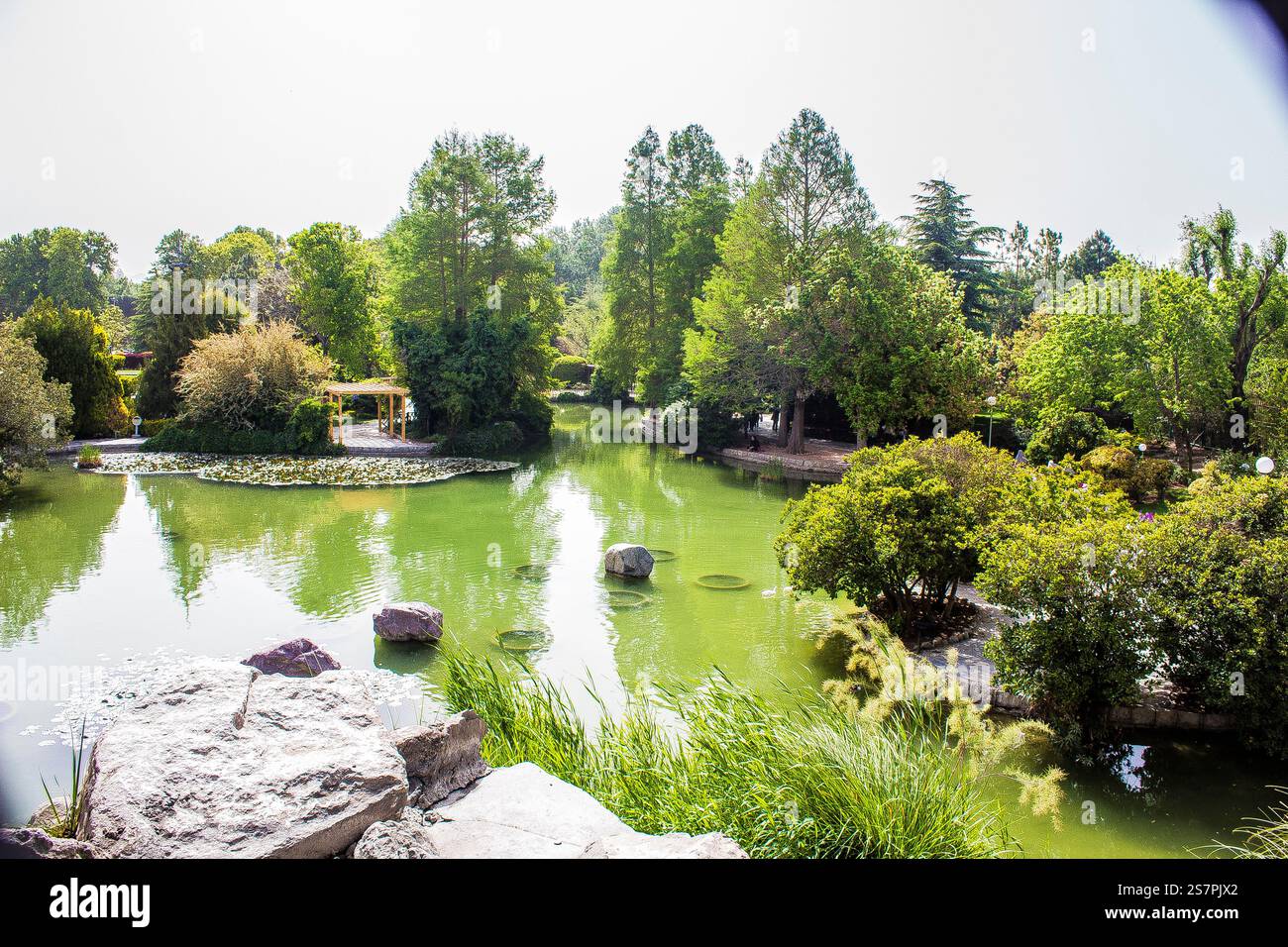 Das ist ein Blumengarten. Das ist der beste Ort, um jede Blume aus der ganzen Welt zu sehen. Die ganze Schönheit der 4he Welt ist hier im Frühling. Stockfoto
