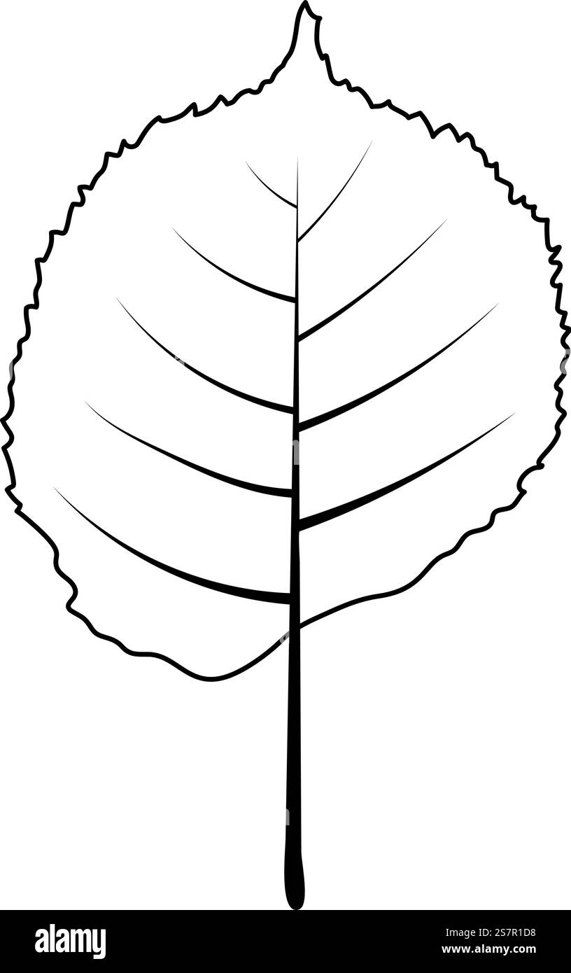 Herbstlindenblatt. Herbstlaub. Vektorabbildung. Stock Vektor