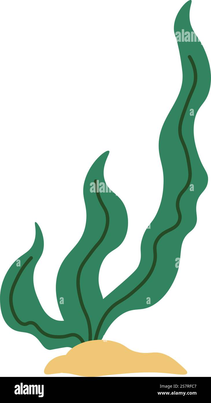 Aquarium oder aquatische Flora und Dekoration, die auf dem Meeresgrund oder dem Ozean wachsen. Isolierte Blume mit großem Laub und Büschen, Ästen und Sand. Sealife und Biodiversität der Natur. Vektor in abgewickelter Form. Seetang wächst auf Sand des Meeresbodens, Vektor Stock Vektor