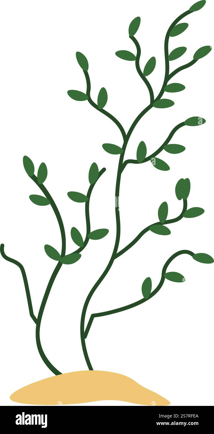 Meer- oder Meeresgras oder Blumenstrauch, das auf dem Boden wächst. Isolierte Blumendekoration für Aquarium oder Wasserumgebung. Vegetation und Tierwelt, Sand und Stämme mit Blättern. Vektor in abgewickelter Darstellung. Aquarium Algen und Blumensträucher am Meeresottom Stock Vektor