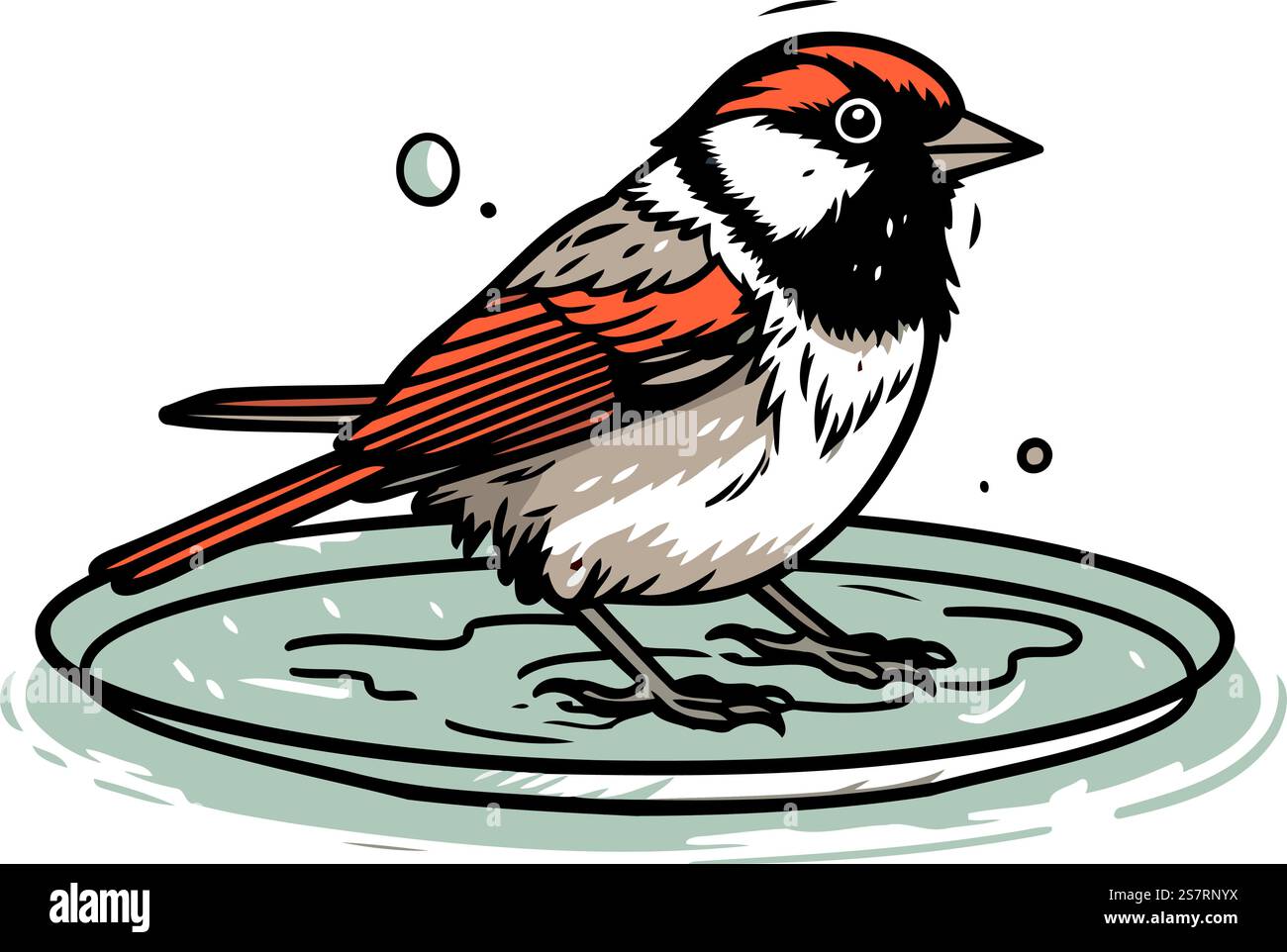 Sparrow auf einem Teller. Vektor-Illustration eines Vogels. Stock Vektor