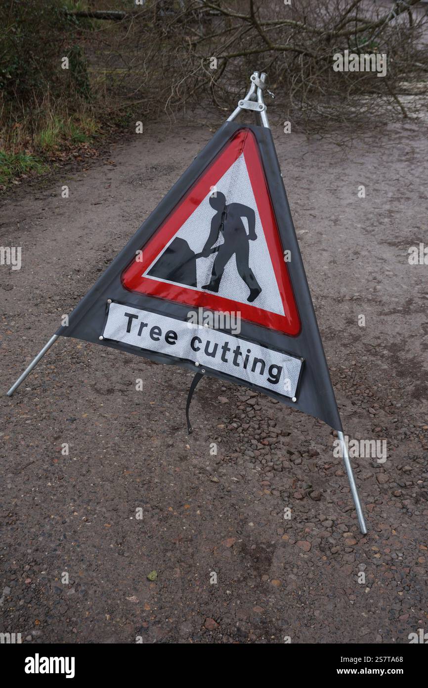 Schild zum Schneiden von Bäumen. Waldgebiet, in dem Baumoperationen und Sicherheitsmaßnahmen durchgeführt werden Stockfoto