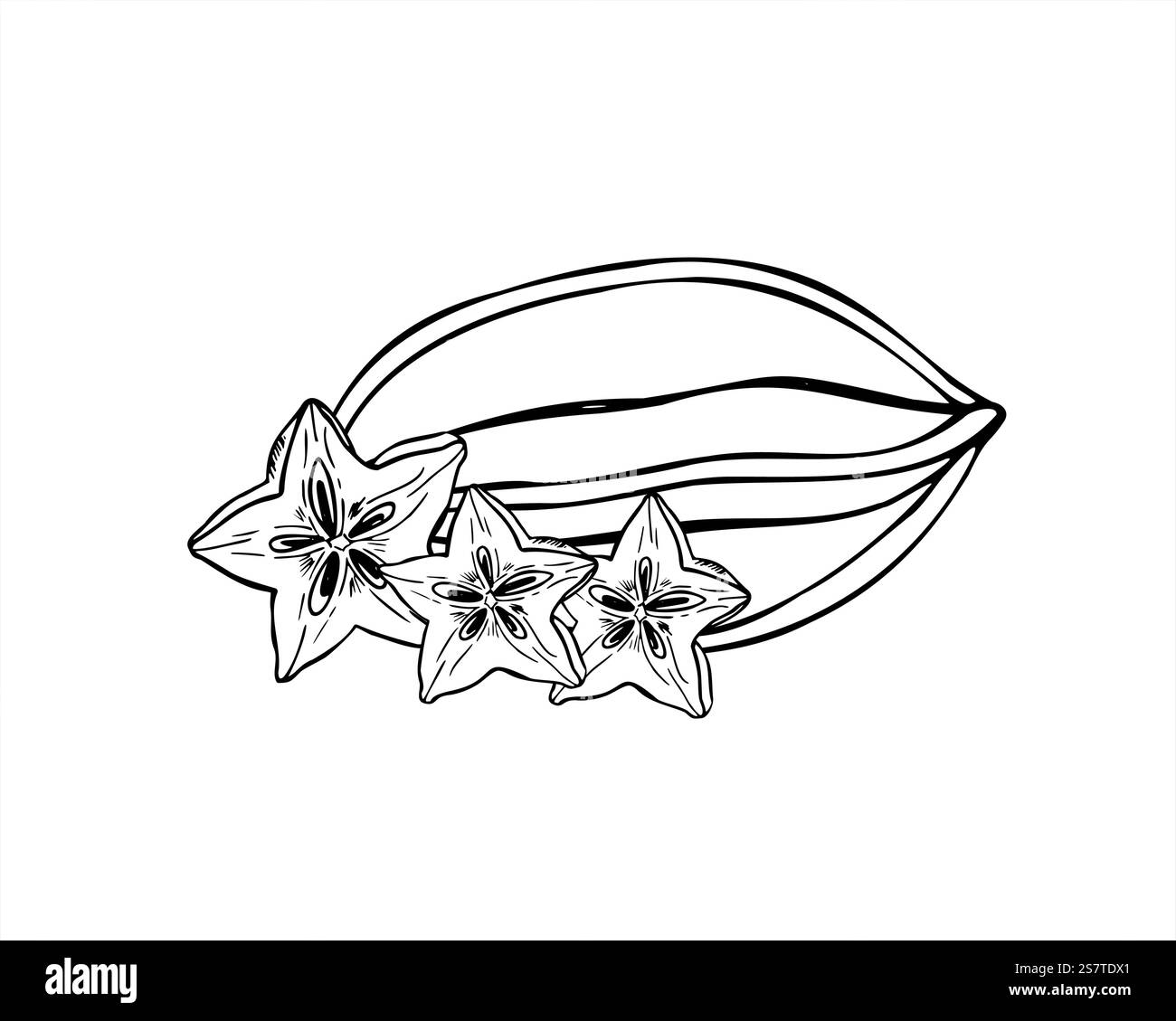 Exotische tropische Karambola-Frucht-Vektor-Illustration gemalt von schwarzen Tinten. Einfarbige ganze Lebensmittelpflanze und Scheibe in sternförmiger Gravurzeichnung Stock Vektor