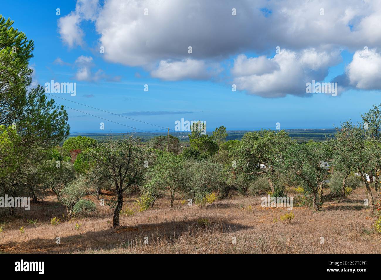 Wunderschöne hügelige Landschaft in Alentejo, Portugal Stockfoto