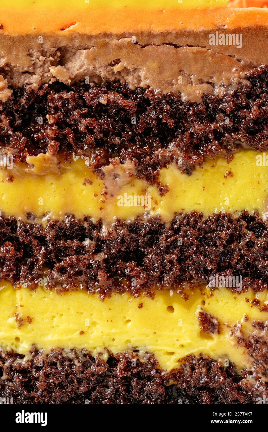 Schokoladen-Biskuitkuchen mit Zitrusbuttercreme Stockfoto