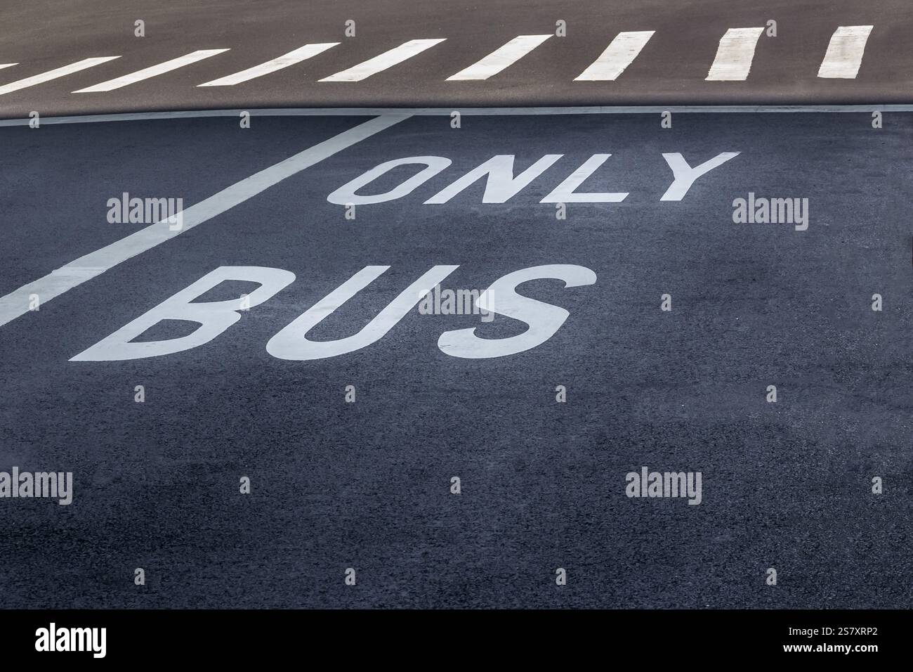 Busspur auf einer Straße mit weißen Buchstaben, die nur Busse angeben Stockfoto