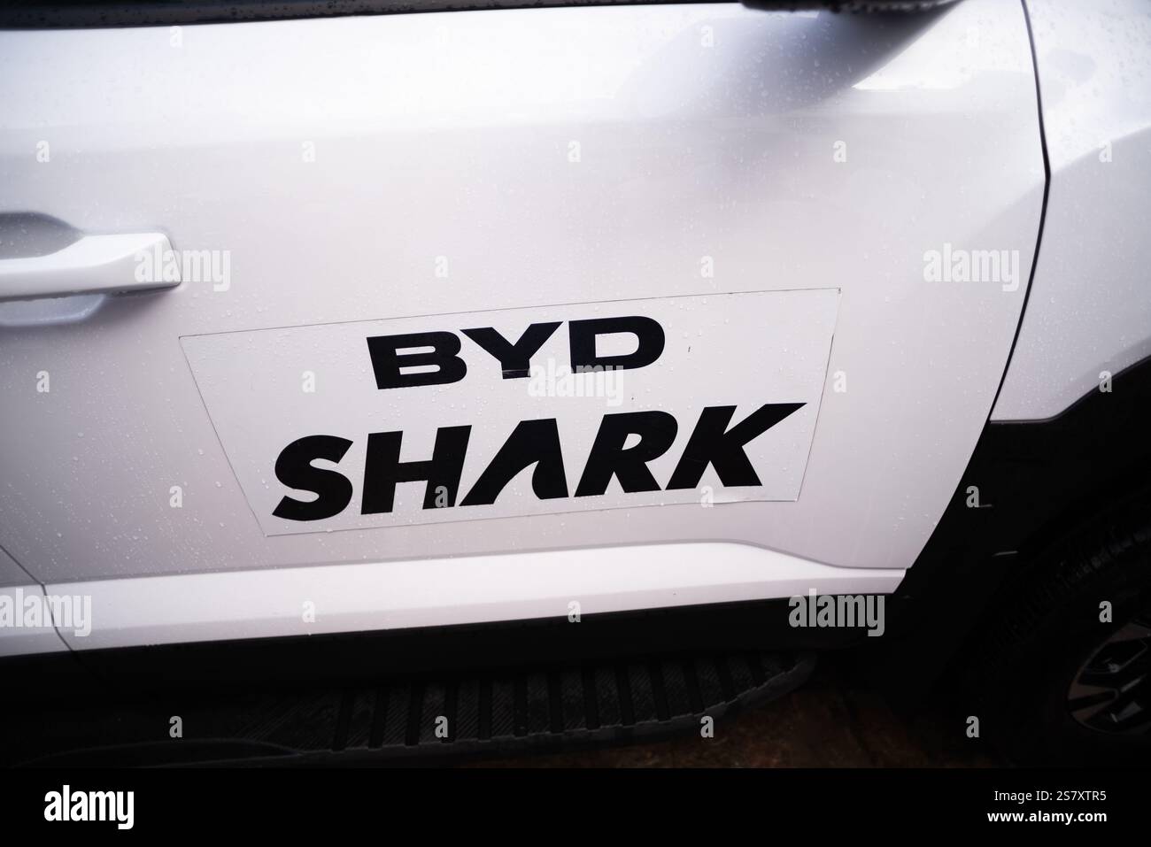 Blick auf das Logo eines BYD-Elektroautos, das auf den Straßen von Salvador, Bahia fährt. Stockfoto