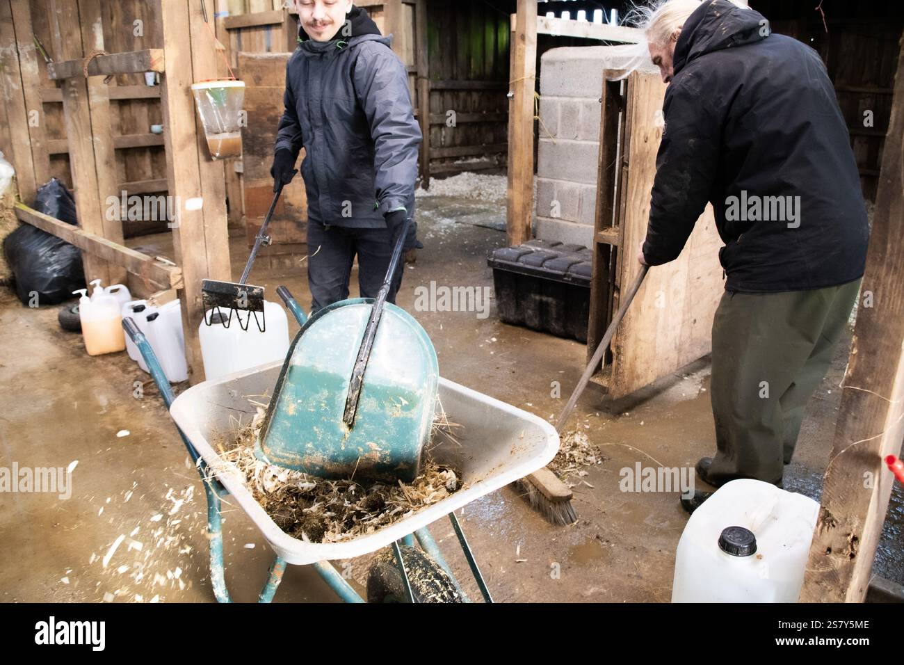 Zwei Männchen putzen Pferdestall, die auf der Ranch ausrotten Stockfoto