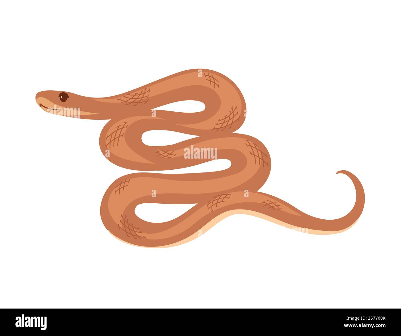 Gewickelte Schlange mit glatten Kurven und einfachen Mustern. Einfaches Tierdesign mit Zeichentrick. Gut für Reptilien- oder Naturdarstellungen. Vektordarstellung isola Stock Vektor