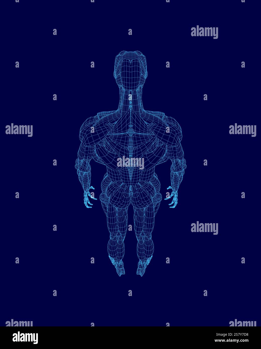 Computergeneriertes Bild eines menschlichen Körpers mit blauem Hintergrund. Der Körper wird stilisiert und abstrakt dargestellt, wobei der Schwerpunkt auf den Muskeln A liegt Stock Vektor