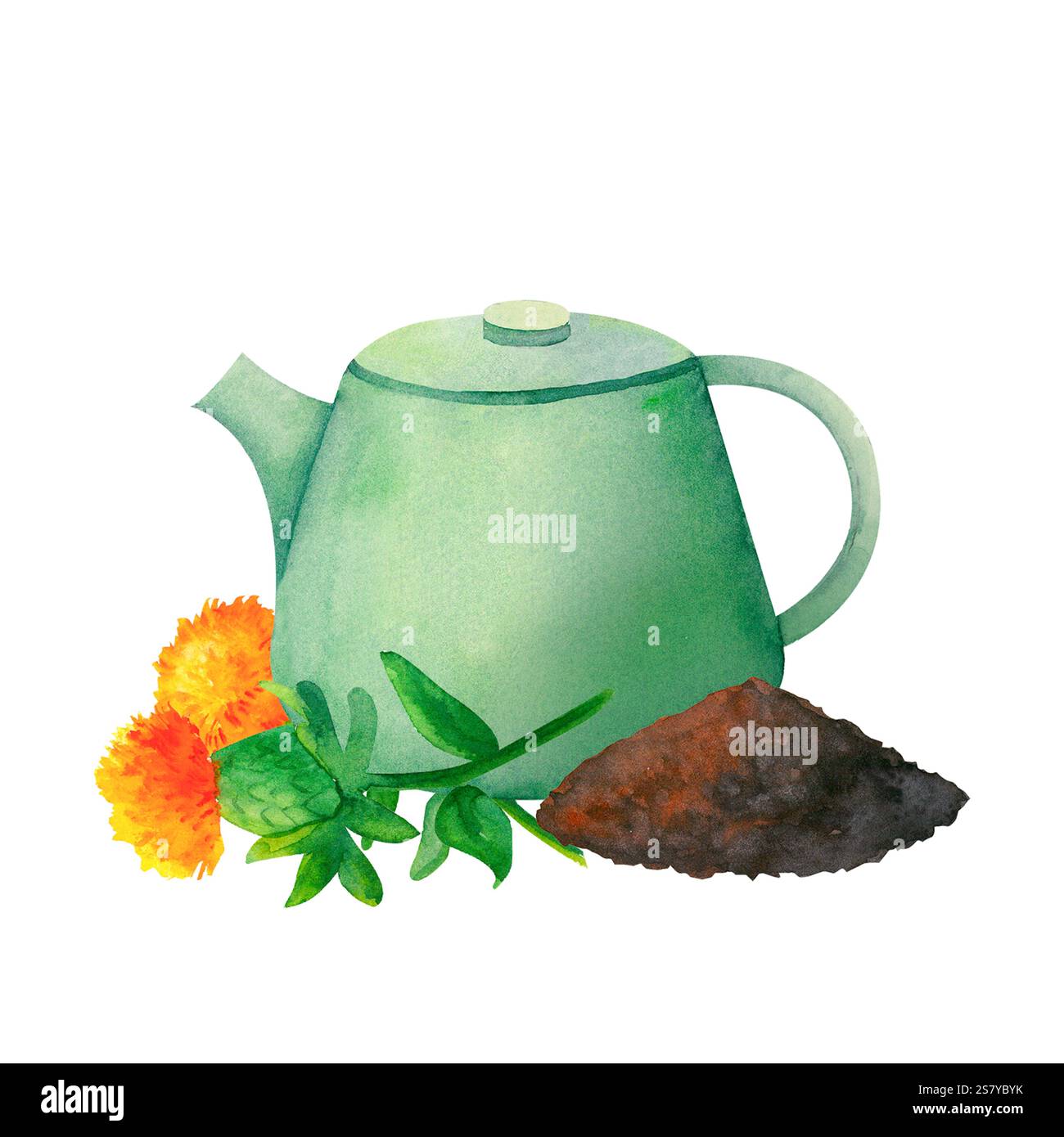 Eine Teekanne, umgeben von blühendem Saflor und verstreuten Blatt schwarzem Tee. Diese Aquarellillustration eignet sich hervorragend für Bio-Branding, Teeverpackungen usw. Stockfoto