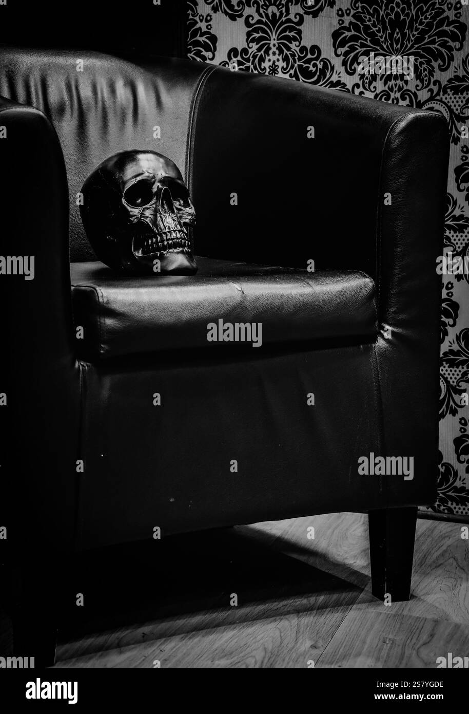 Dieses Schwarz-weiß-Foto zeigt einen polierten schwarzen Schädel auf dem Sitz eines dunklen Ledersessels. Stockfoto