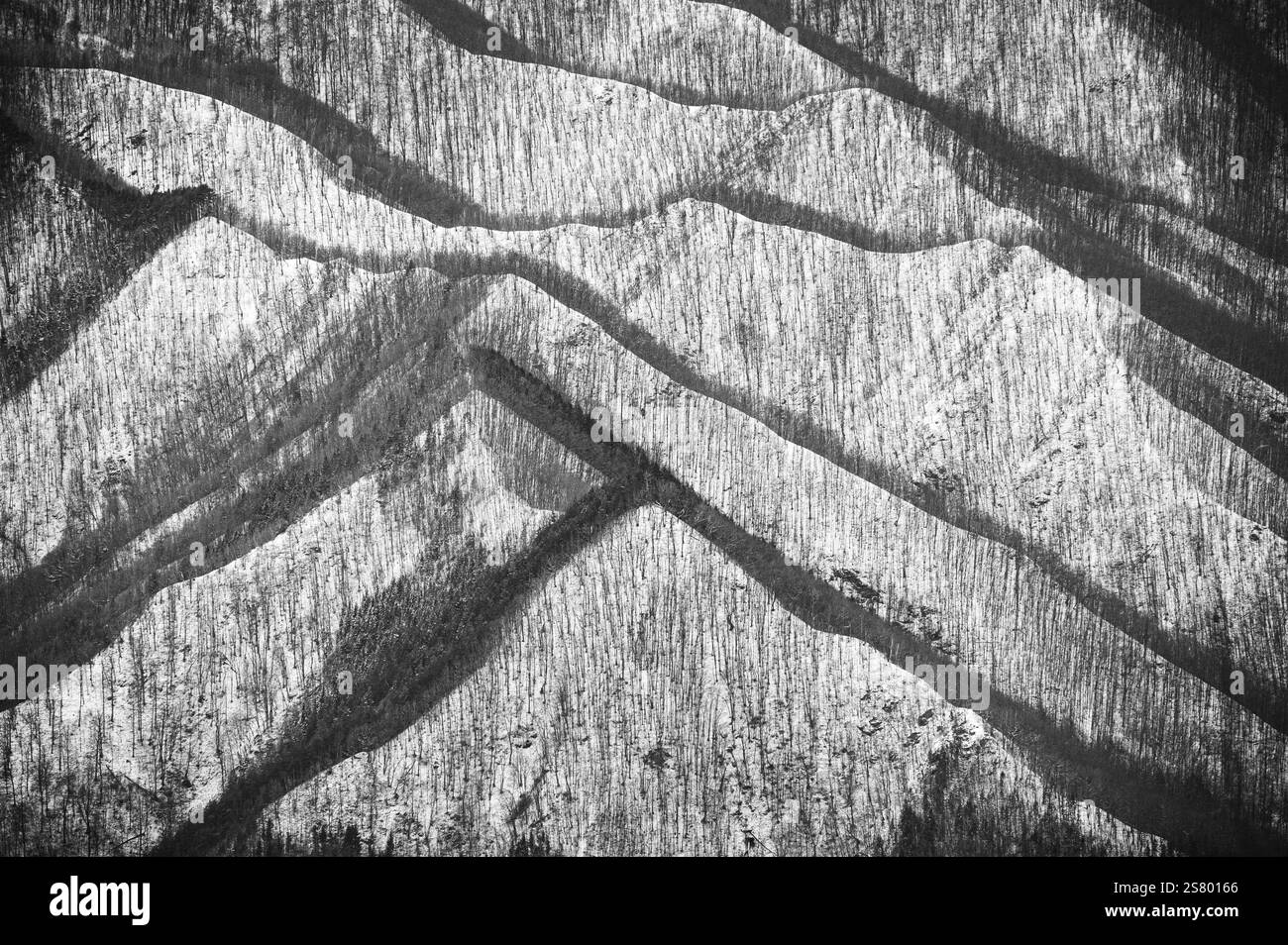 Berge mit blattlosen Bäumen, künstlerische schwarz-weiße Winterlandschaft mit starkem Kontrast und vielen Grautönen. Stockfoto