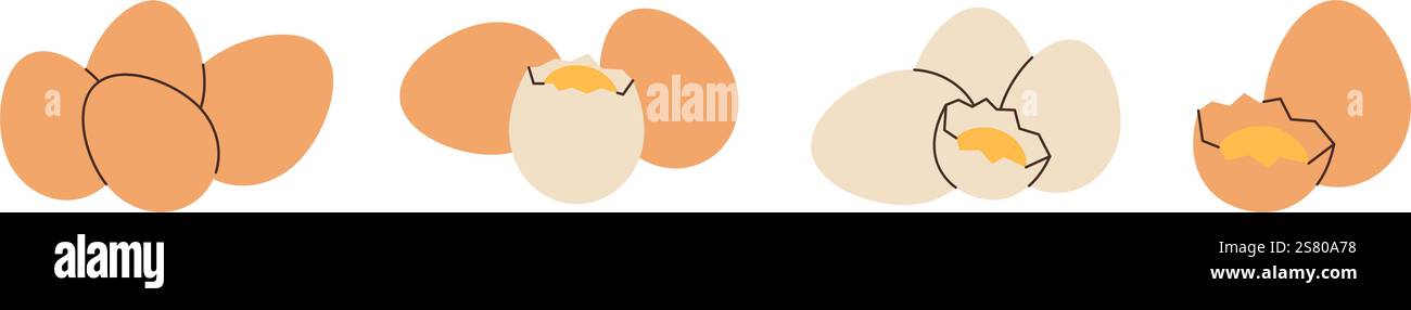 Set roher Eier. Frische und gekochte Eier. Vektorabbildung. Stock Vektor