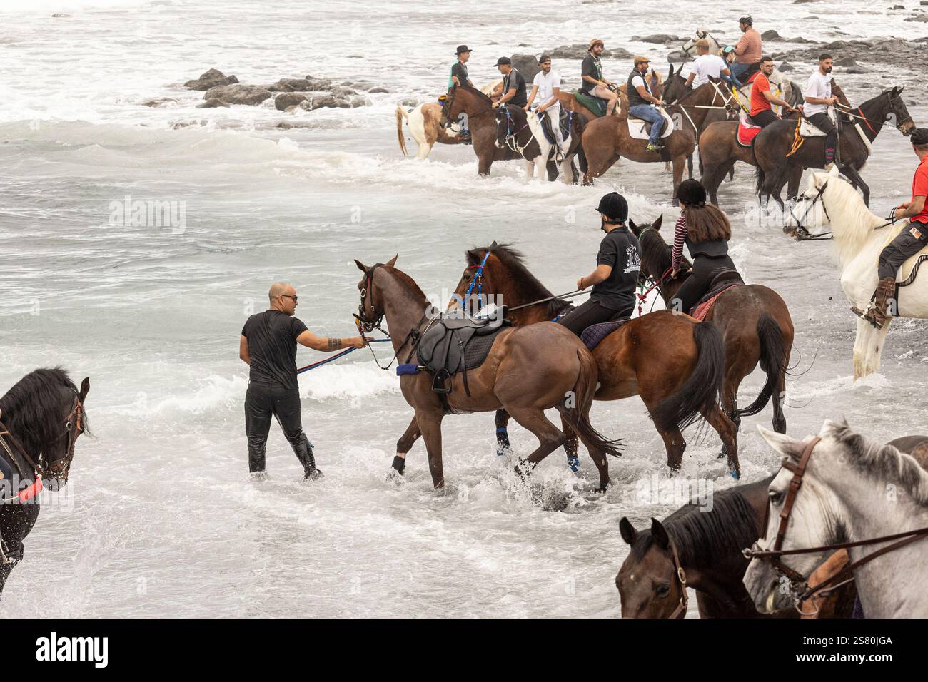 Playa de Enramada, La Caleta, Costa Adeje, Teneriffa, Kanarische Inseln, Spanien. Januar 2025. Jährliches Festival von San Sebastian, bei dem Tiere gesegnet werden und hauptsächlich Pferde zum Strand gebracht werden, wo sie ins Meer geritten werden. Credit © Phil Crean, Alamy Credit: Phil Crean A/Alamy Live News Stockfoto