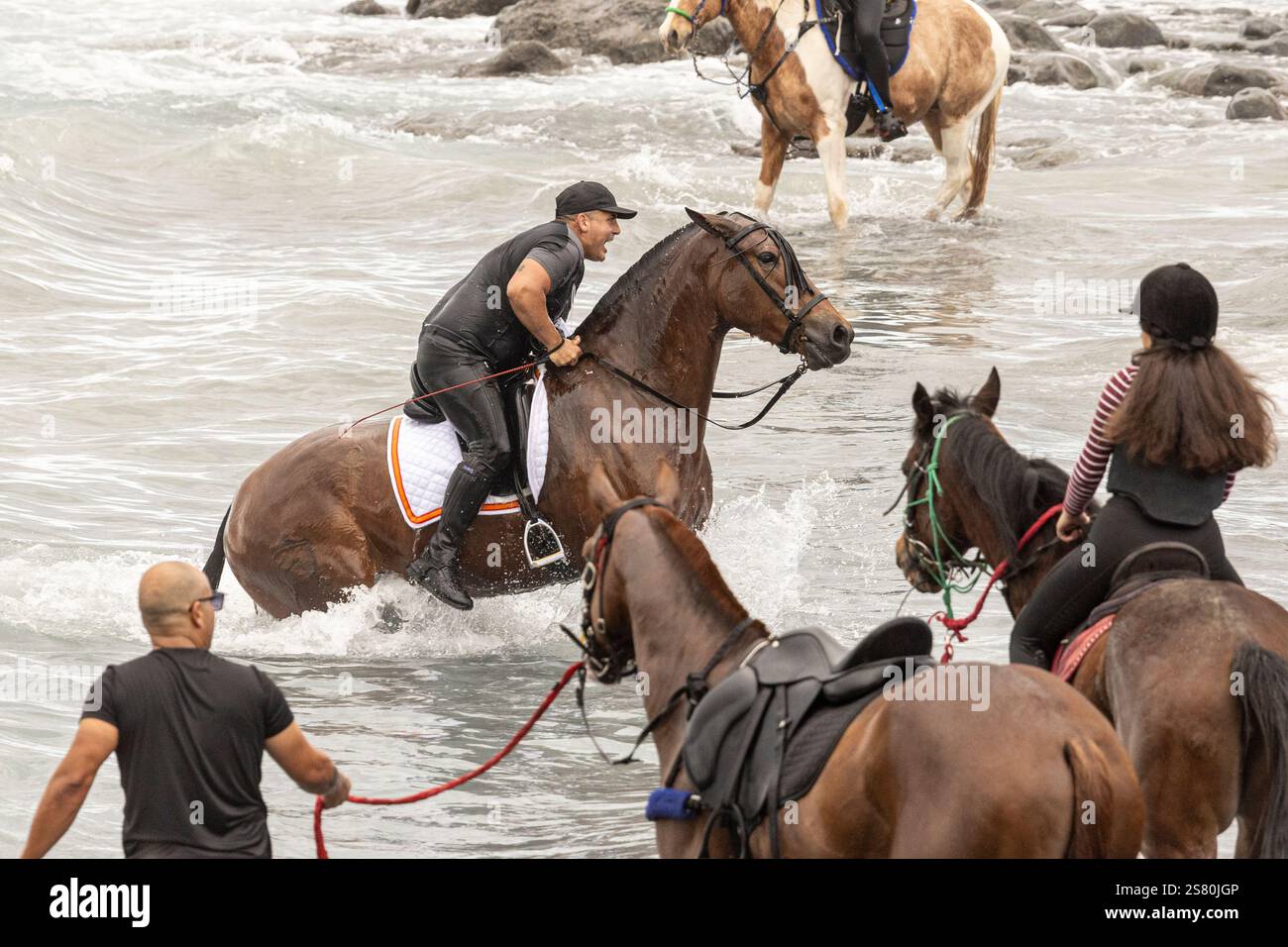 Playa de Enramada, La Caleta, Costa Adeje, Teneriffa, Kanarische Inseln, Spanien. Januar 2025. Jährliches Festival von San Sebastian, bei dem Tiere gesegnet werden und hauptsächlich Pferde zum Strand gebracht werden, wo sie ins Meer geritten werden. Credit © Phil Crean, Alamy Credit: Phil Crean A/Alamy Live News Stockfoto