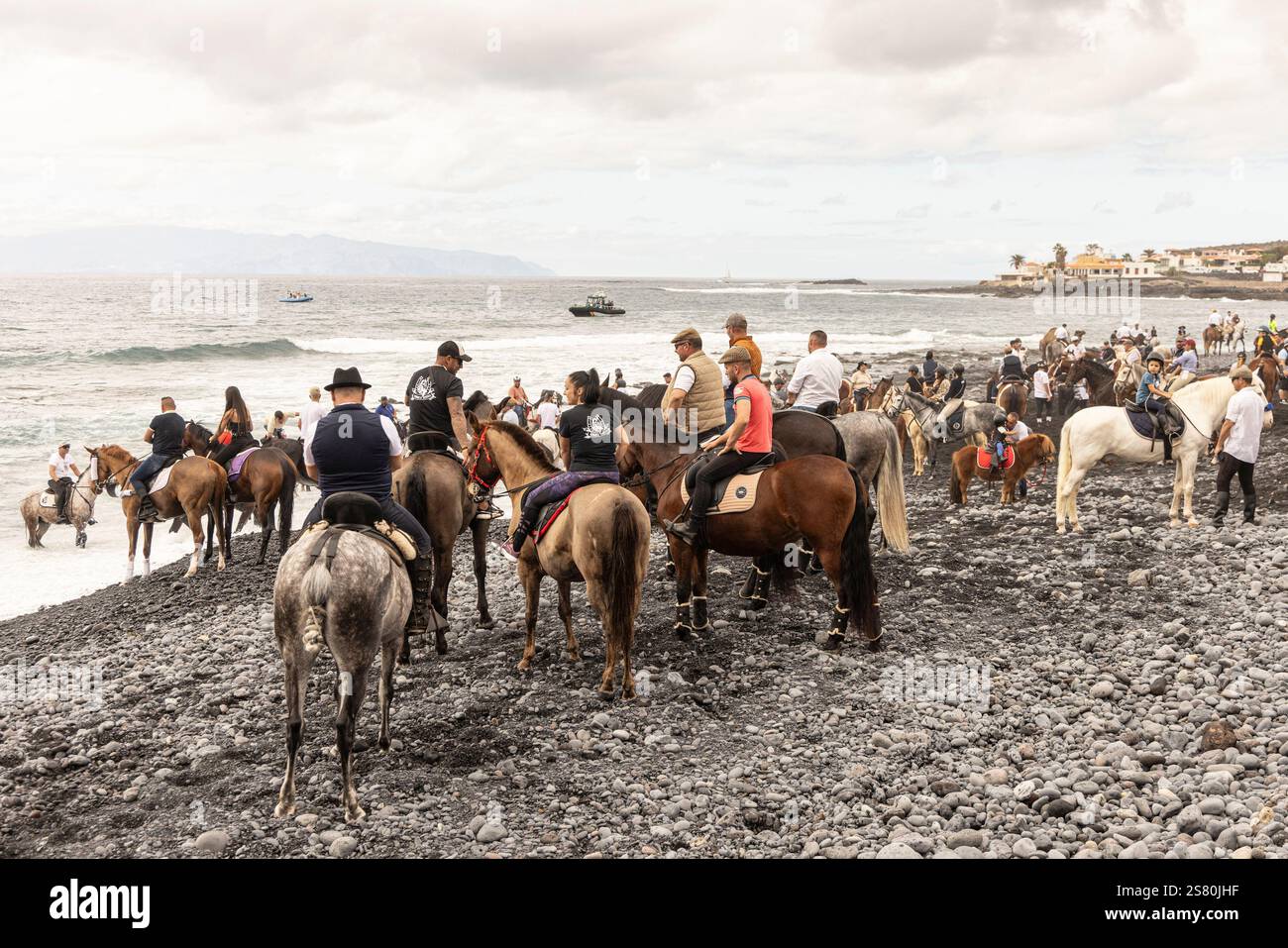 Playa de Enramada, La Caleta, Costa Adeje, Teneriffa, Kanarische Inseln, Spanien. Januar 2025. Jährliches Festival von San Sebastian, bei dem Tiere gesegnet werden und hauptsächlich Pferde zum Strand gebracht werden, wo sie ins Meer geritten werden. Credit © Phil Crean, Alamy Credit: Phil Crean A/Alamy Live News Stockfoto