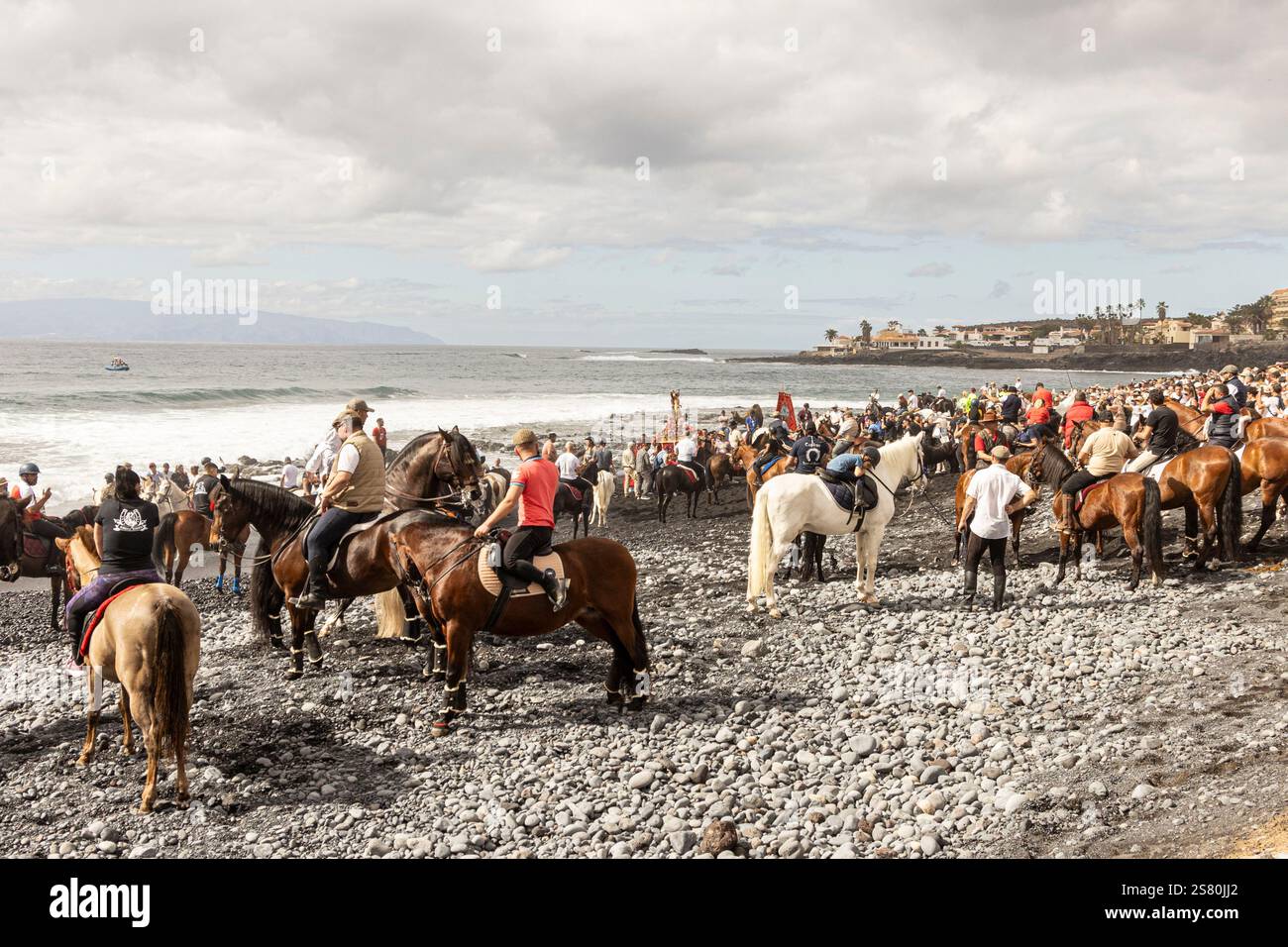Playa de Enramada, La Caleta, Costa Adeje, Teneriffa, Kanarische Inseln, Spanien. Januar 2025. Jährliches Festival von San Sebastian, bei dem Tiere gesegnet werden und hauptsächlich Pferde zum Strand gebracht werden, wo sie ins Meer geritten werden. Credit © Phil Crean, Alamy Credit: Phil Crean A/Alamy Live News Stockfoto