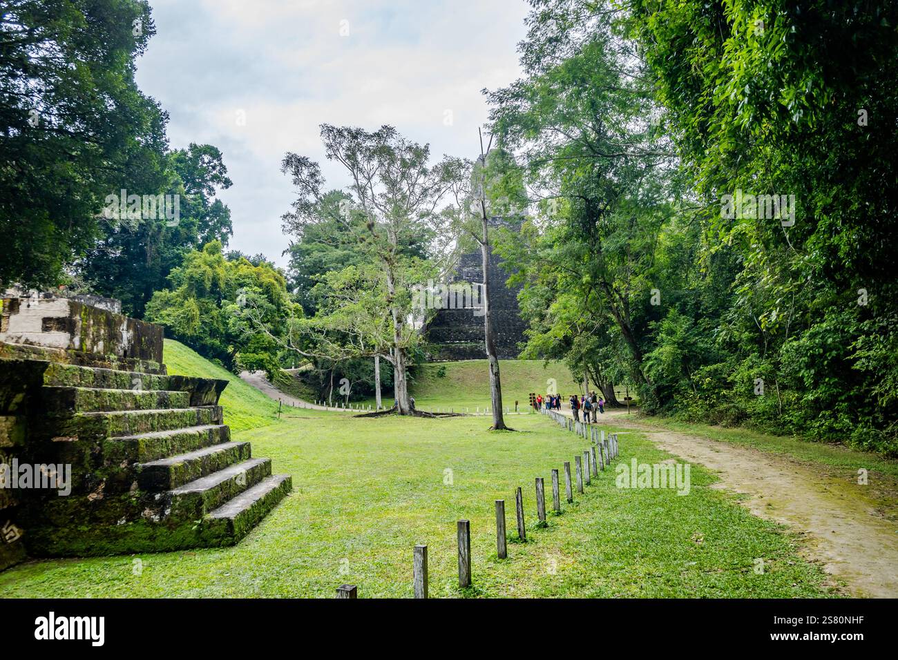 Touristen wandern auf Wanderwegen rund um den Tikal Nationalpark, Guatemala, Zentralamerika. Stockfoto