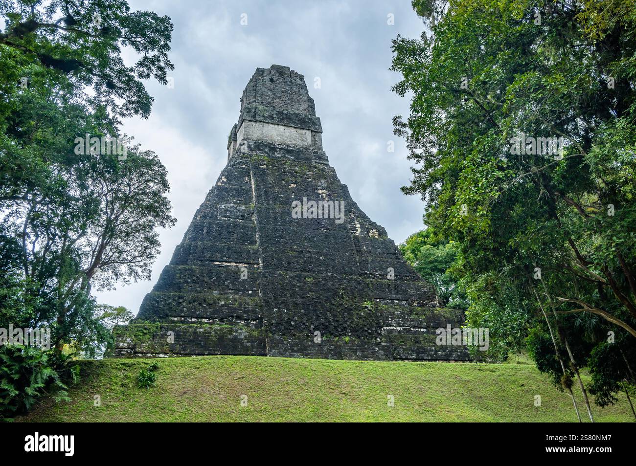 Templo del Gran Jaguar, Tikal Nationalpark, Guatemala, Zentralamerika. Stockfoto