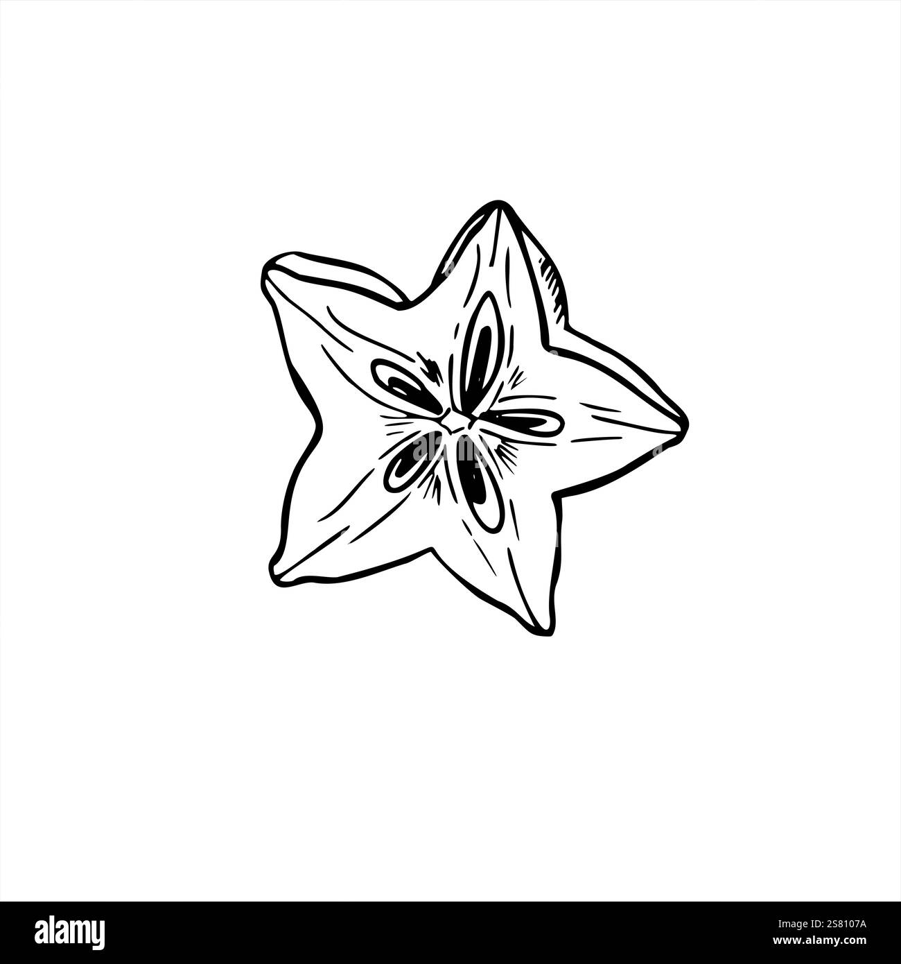 Exotische tropische Karambola Fruchtscheibe in Sternform Vektor Illustration gemalt von schwarzen Tinten. Einfarbige Gravur von Süßapfel-Sternenfrüchten Stock Vektor