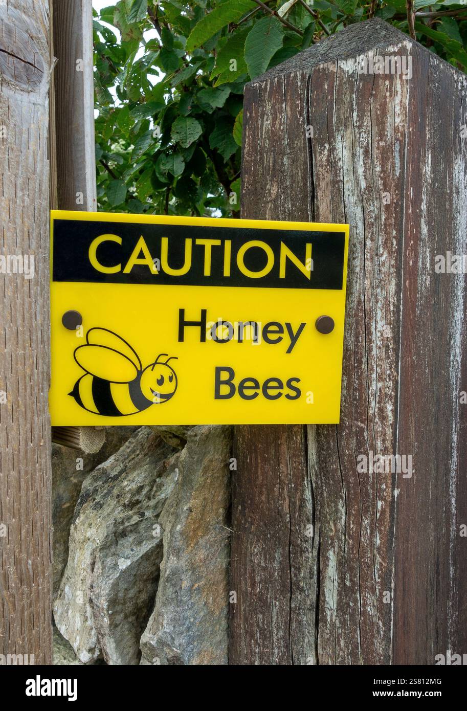 Ein hellgelbes Schild mit einer fröhlichen Abbildung einer Honigbiene ist an einem stabilen Holzzaun angebracht. Auf dem Schild steht "Caution Honey Bees" Stockfoto