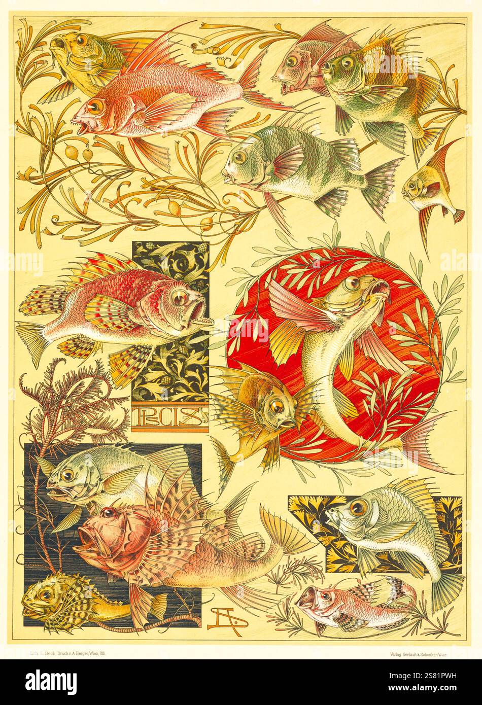Anton Seder - das Tier in der dekorativen Kunst - komplizierte Jugendstildesigns - 1896 - Fisch Stockfoto