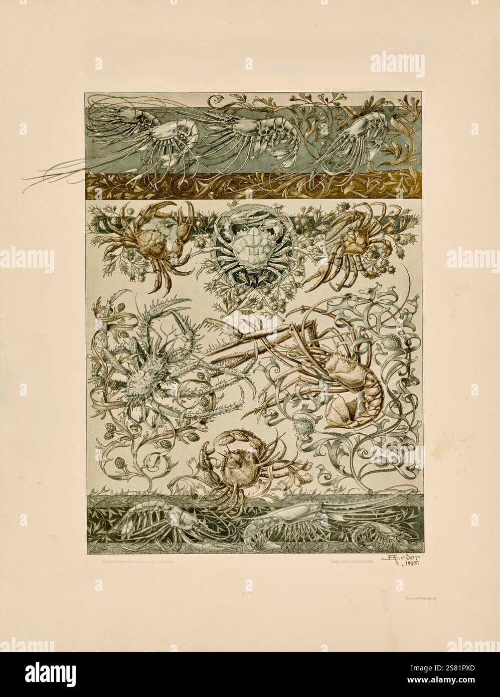 Anton Seder - das Tier in der dekorativen Kunst - komplizierte Jugendstildesigns - 1896 - Krabben Stockfoto