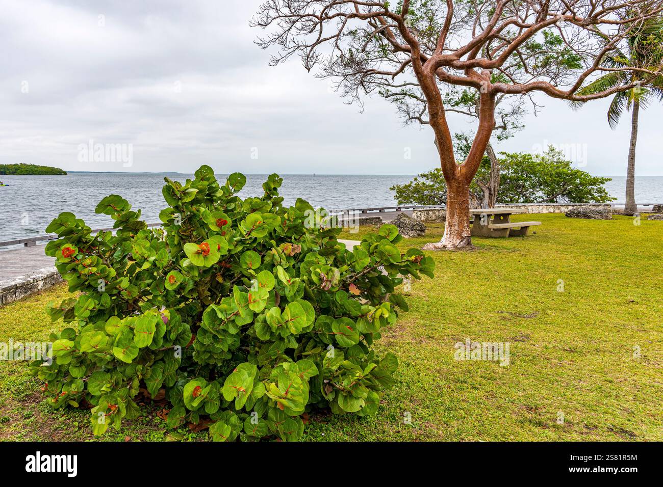 Blick auf den Biscayne Bay National Park vom Visitors Center im Januar Stockfoto