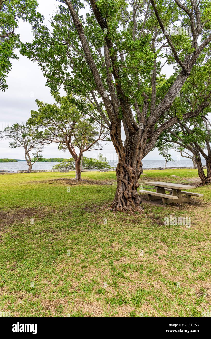 Blick auf den Biscayne Bay National Park vom Visitors Center im Januar Stockfoto