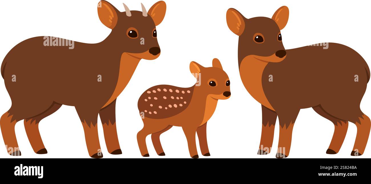 Pudu Familie, Erwachsene männlich, weiblich und Baby. Kleiner südamerikanischer Hirsch. Niedliche Zeichentrickzeichnung, Vektorillustration. Stock Vektor