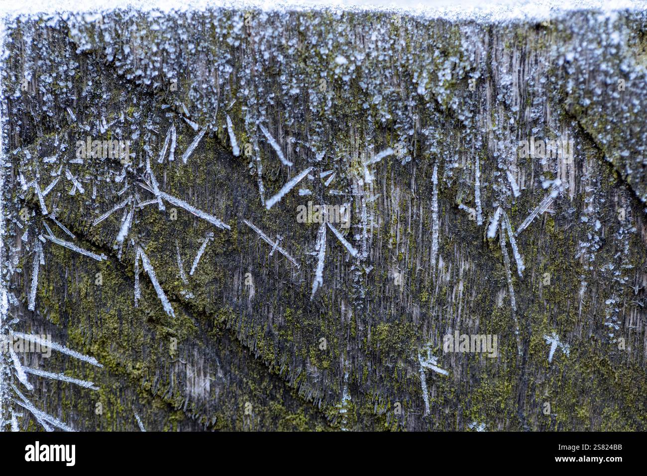 MakroNahaufnahme des Frostes im Gartenzaun. Detaillierte Frostbilder, Nahaufnahmen des Winters. Nahaufnahme eines Holzpfahls, der mit Frost bedeckt ist. Stockfoto