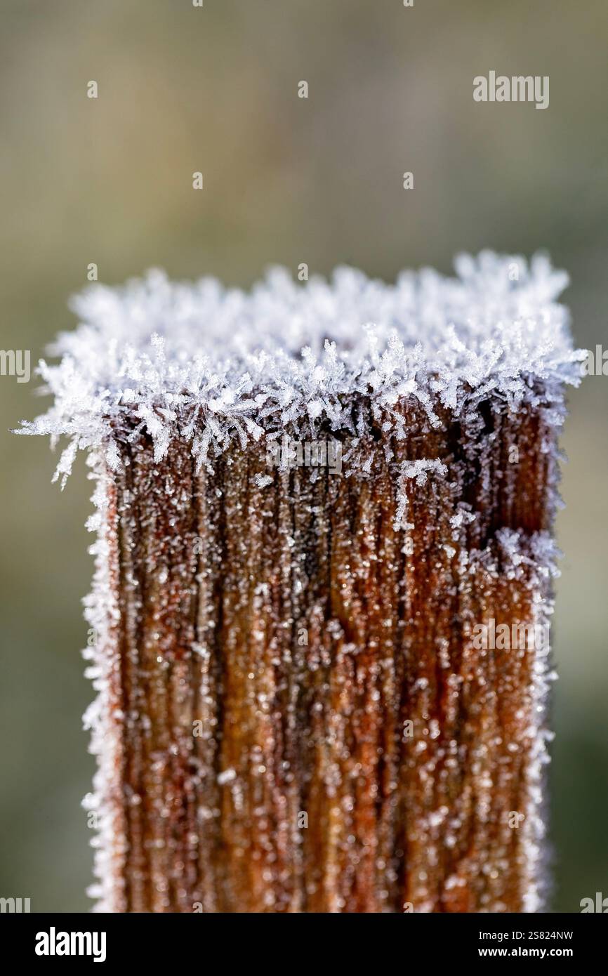 MakroNahaufnahme des Frostes im Gartenzaun. Detaillierte Frostbilder, Nahaufnahmen des Winters. Nahaufnahme eines Holzpfahls, der mit Frost bedeckt ist. Stockfoto