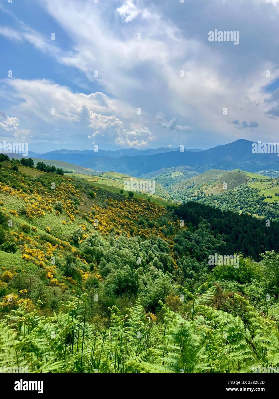 Bergblick, Blauer Himmel und Wolken - Smartphone-aufgenommenes Stockfoto