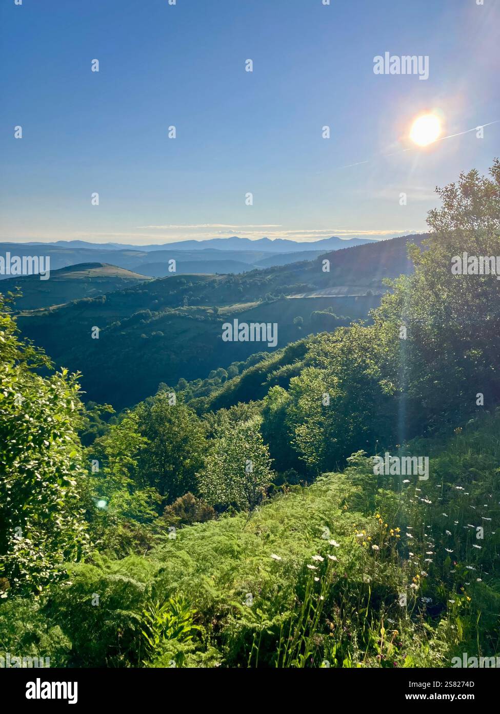 Blick auf Galicien - Smartphone-aufgenommenes Stockfoto