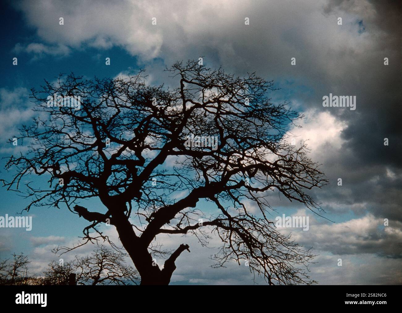 Mosier, Oregon, April 1962 Stockfoto