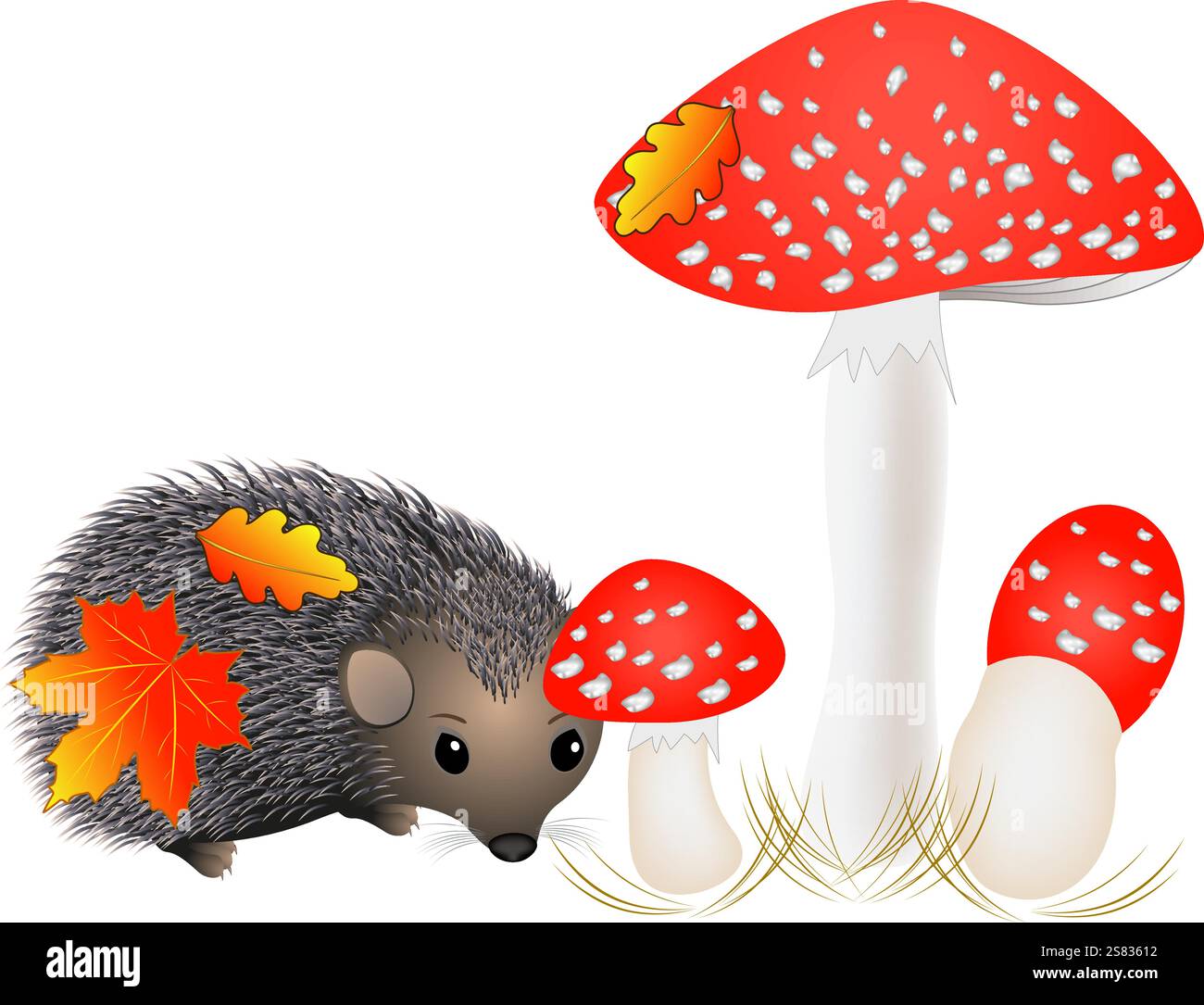 Kleiner Igel in der Nähe mit Pilzen. Stock Vektor