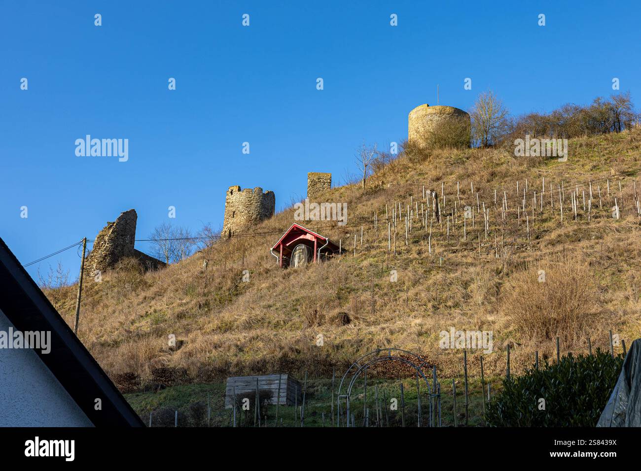Monreal im Winter der Ort Monreal an der Elz im Kreis Mayen Koblenz mit seinem historischen Ortskern unterhalb der Löwenburg. Monreal Rheinland-Pfalz Deutschland *** Monreal im Winter das Dorf Monreal an der Elz im Landkreis Mayen Koblenz mit seinem historischen Ortskern unterhalb der Löwenburg Monreal Rheinland-Pfalz Deutschland Copyright: XBonn.digitalx/xMarcxJohnx Stockfoto