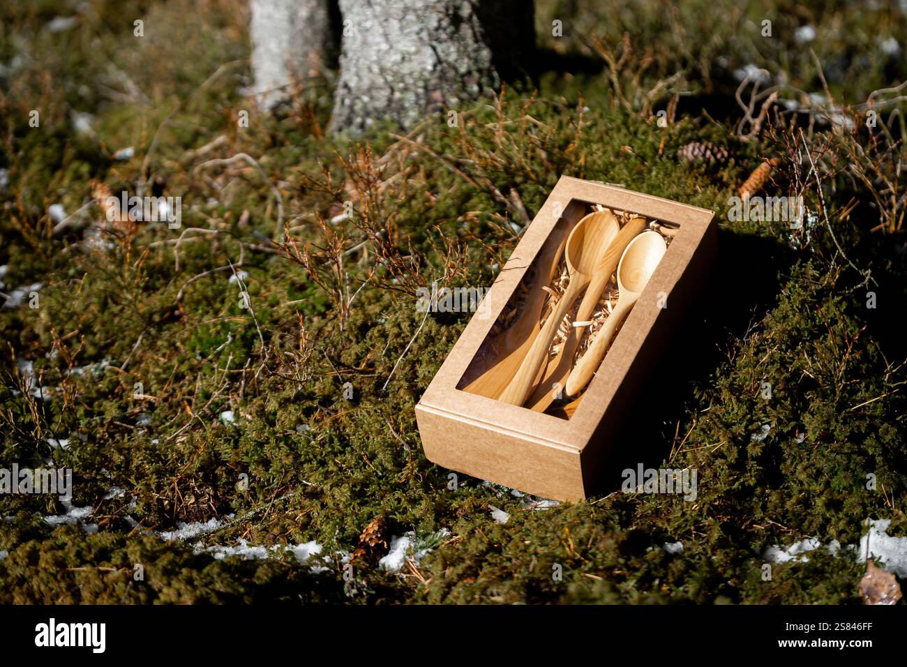 In einem Karton mit durchsichtigem Fenster befinden sich Holzutensilien, die auf einem moosigen Waldboden mit Schneeflächen, Baumstämmen und verstreuten Kiefern liegen Stockfoto