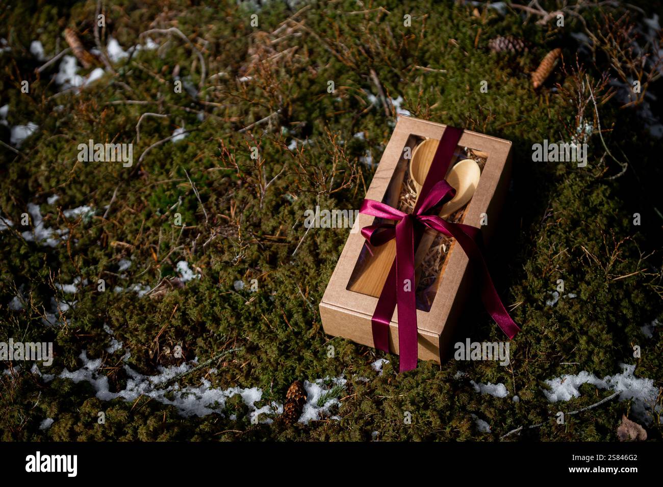 Eine Geschenkbox aus Karton, die mit einem roten Band gebunden ist, liegt auf moosigem Boden mit Schnee- und Tannenzapfen und erinnert an eine kalte, bewaldete Umgebung. Stockfoto