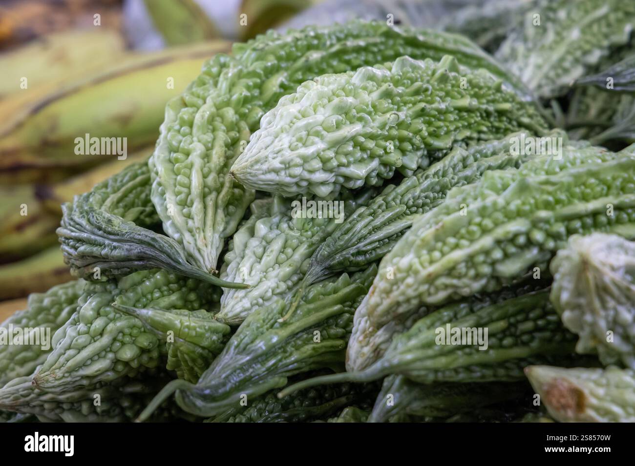 Frische Bittermelonen (Kürbis) zum Verkauf auf dem Markt in Victoriia, Mahé, Seychellen Stockfoto
