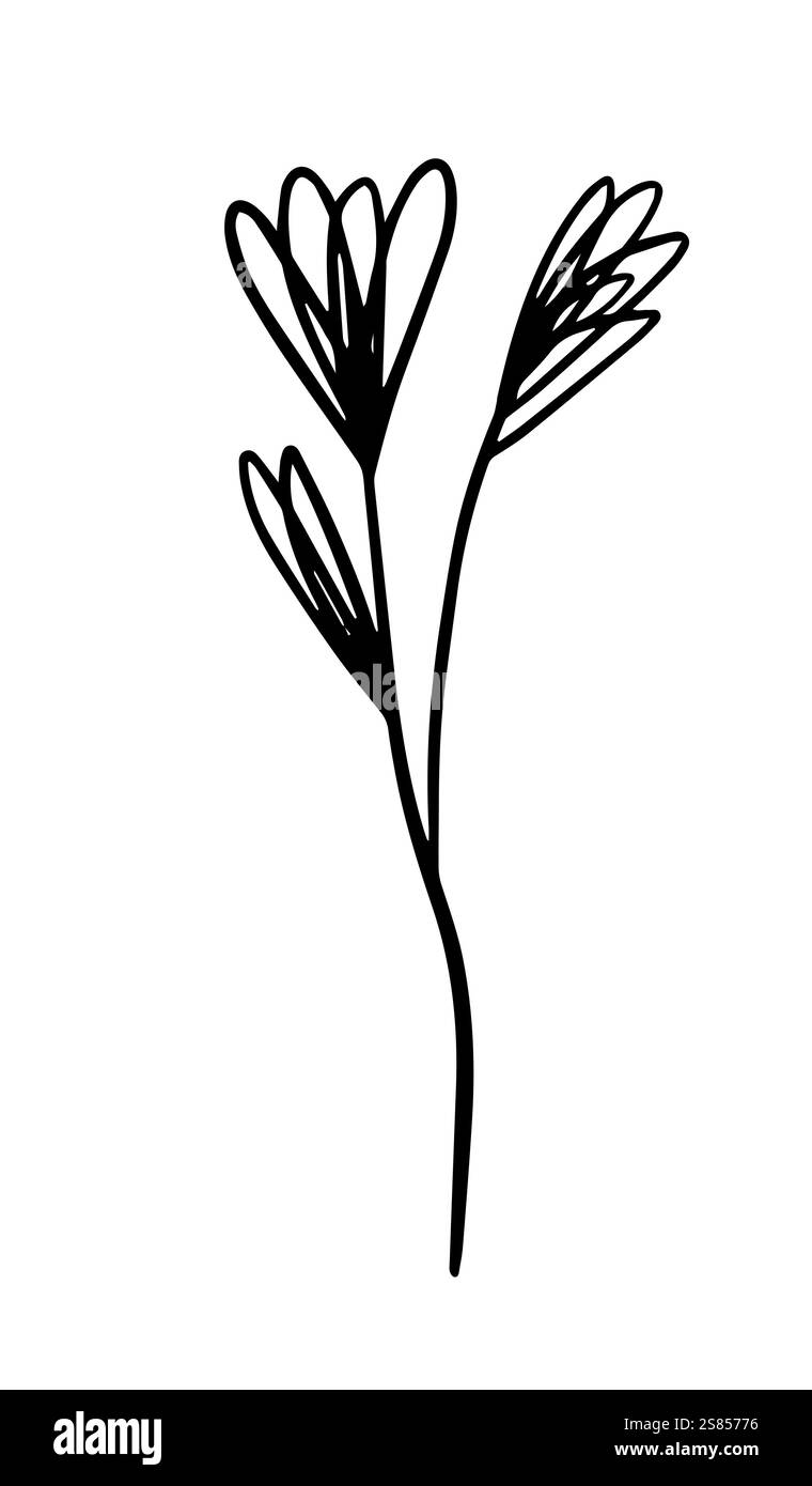 Blume eine Linie monochrom. Handzeichnung. Nicht AI, Vektorillustration Stock Vektor