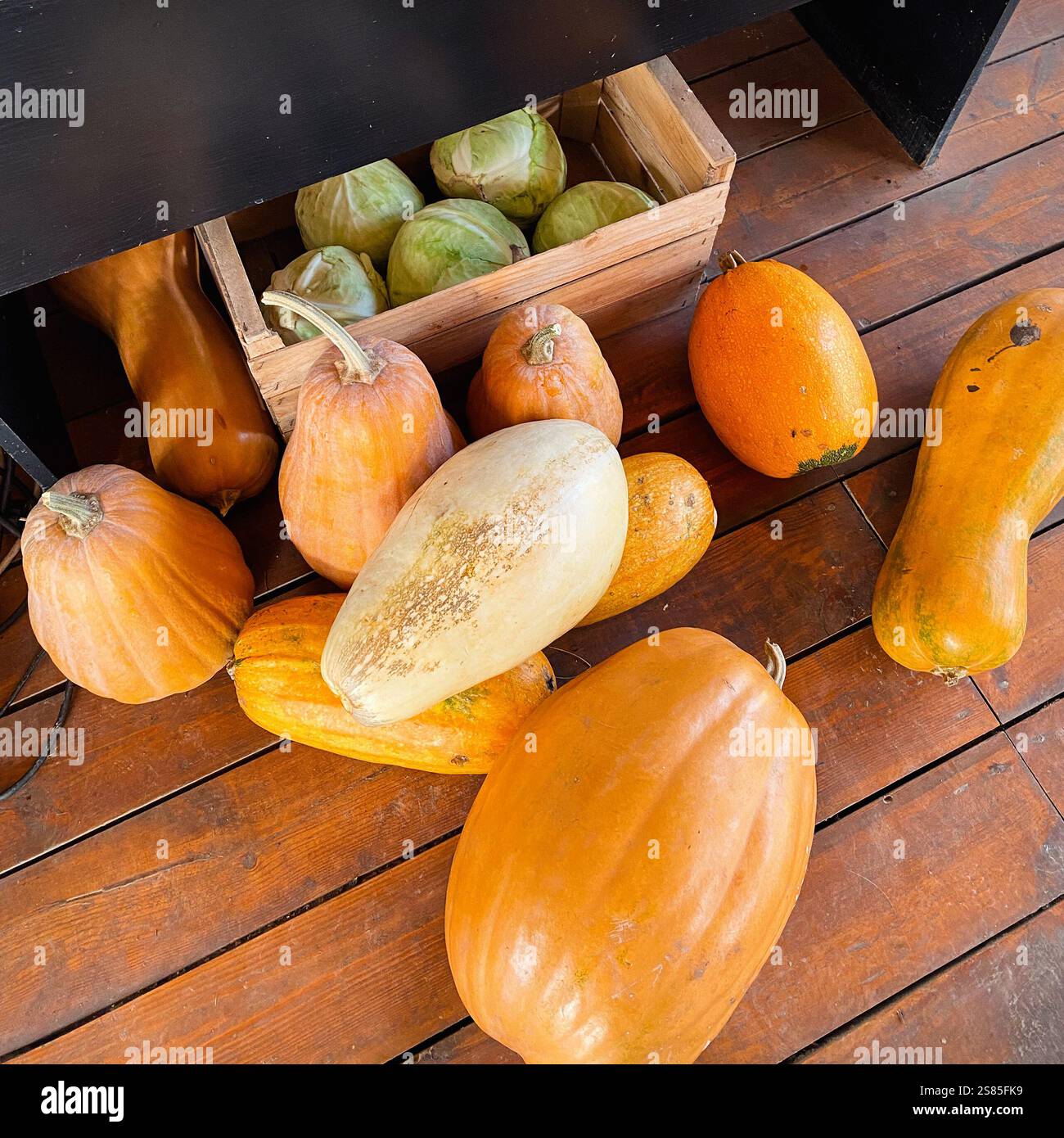 Kürbisse auf Holzboden. Große Orangengemüse zum Verkauf auf dem lokalen Bauernmarkt. Stockfoto