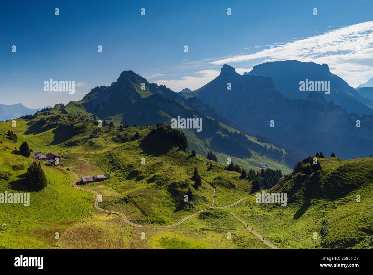 Wanderweg in der Schynige Platte, Jungfrau Region, Berner Oberland, Schweiz Stockfoto