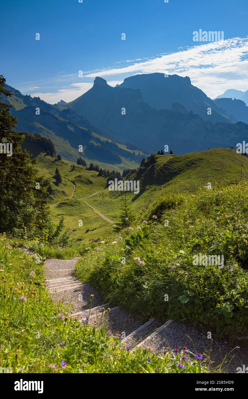 Wanderweg in der Schynige Platte, Jungfrau Region, Berner Oberland, Schweiz Stockfoto