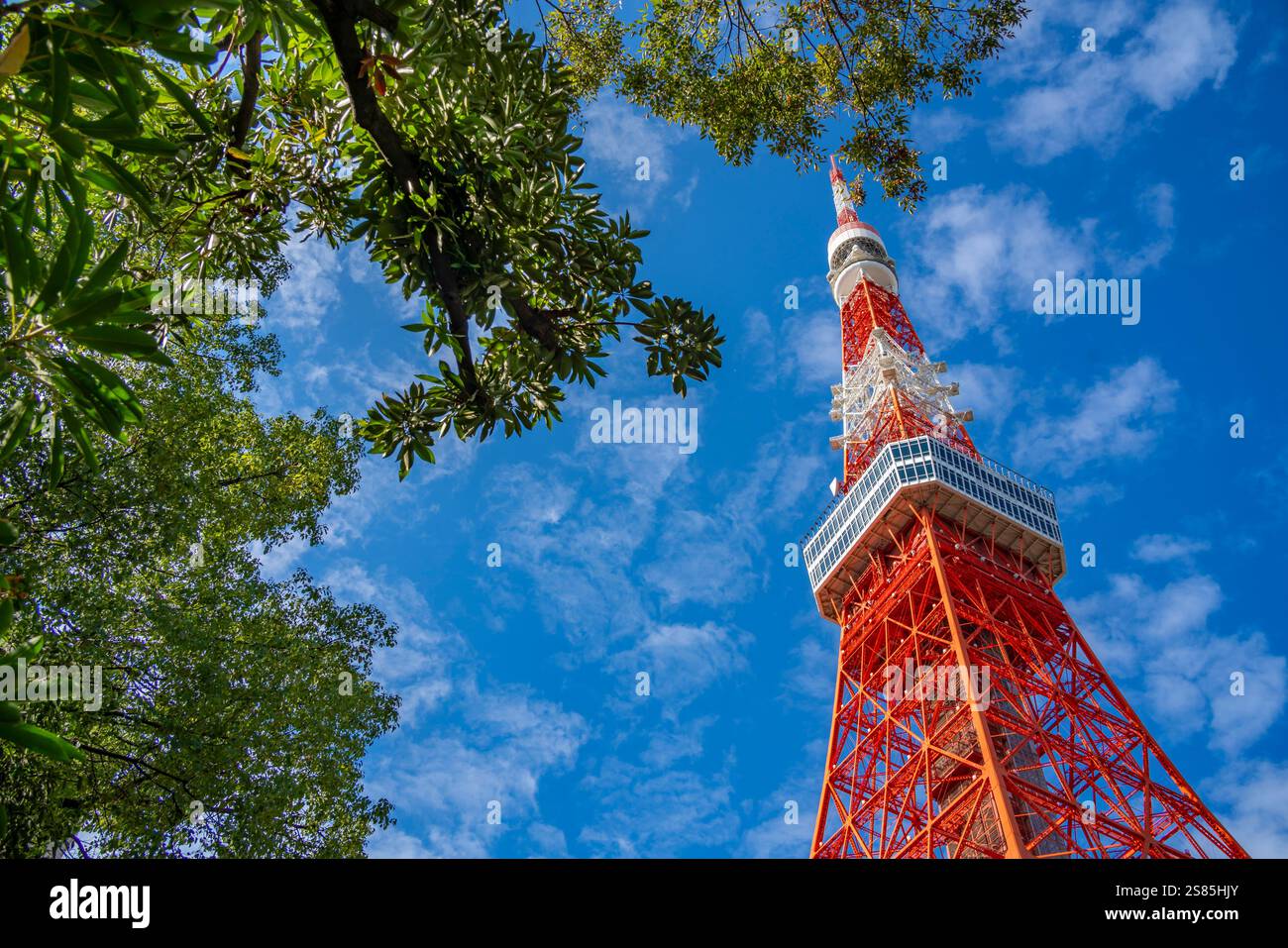 Blick auf den Tokyo Tower von seiner Basis gegen den blauen Himmel, Shibakoen, Minato City, Tokio, Honshu, Japan Stockfoto Blick auf den Tokyo Tower von seiner Basis gegen den blauen Himmel, Shibakoen, Minato City, Tokio, Honshu, Japan Stockfoto